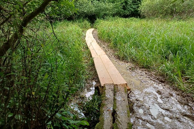 jra jrhatk a tansvnyek az rsgi Nemzeti Parkban